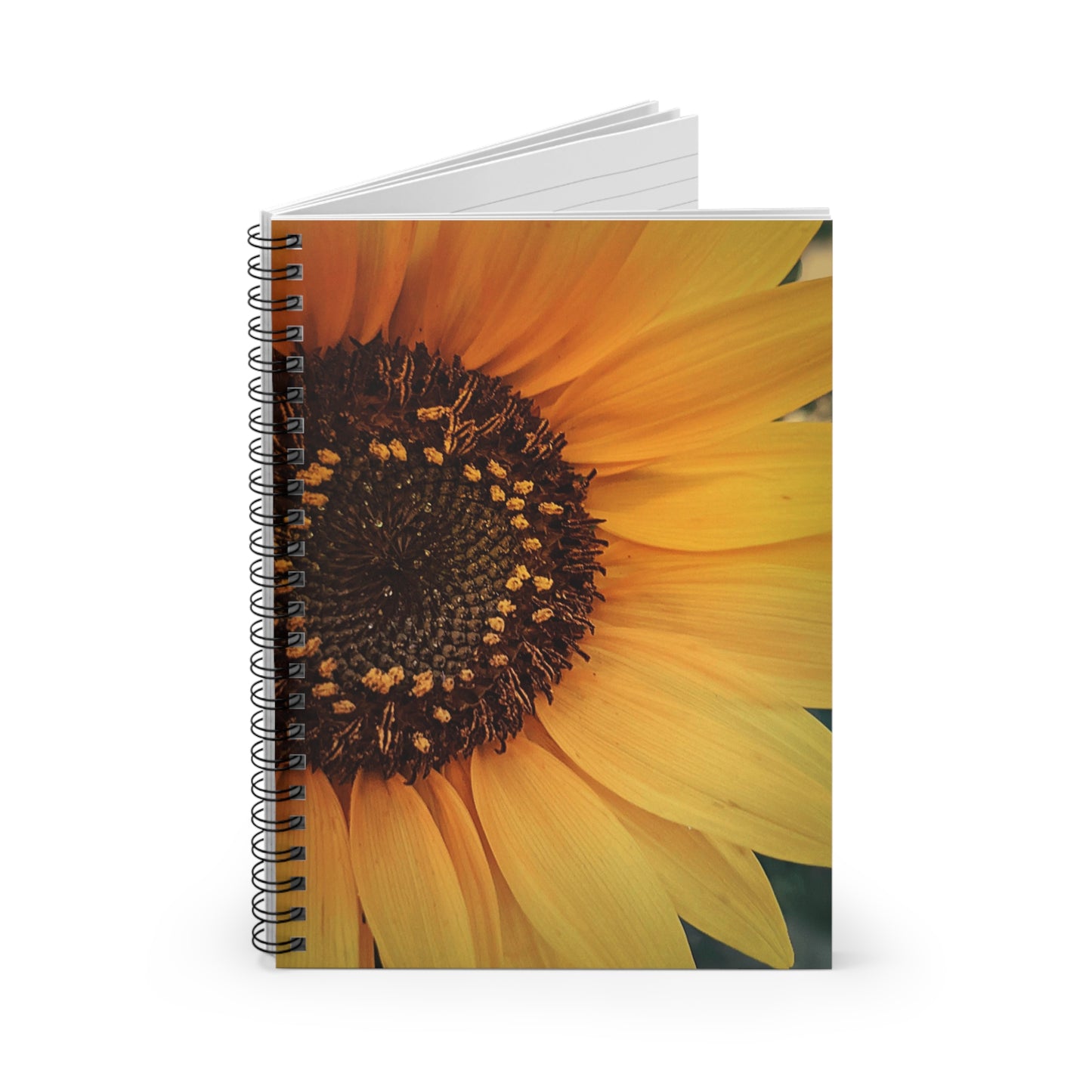 Sun Ray Sunflower Spiral Notebook - Ruled Line (SP Photography Collection)