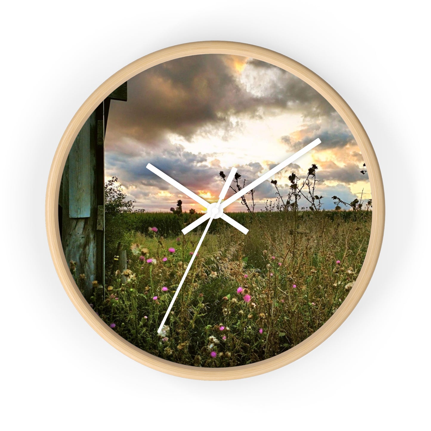 Cloudy Field Wall Clock (SP Photography Collection)