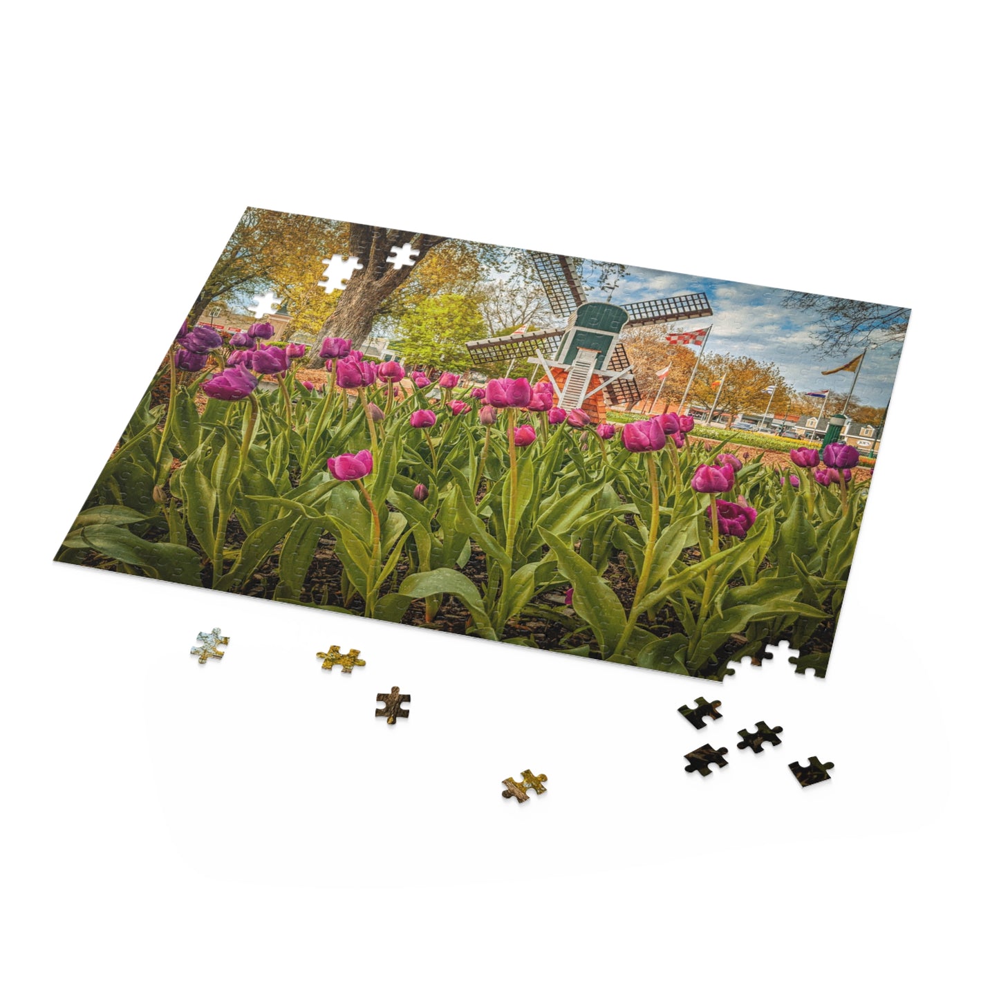 Windmill Tulip Puzzle (SP Photography Collection 120, 252, 500-Piece)