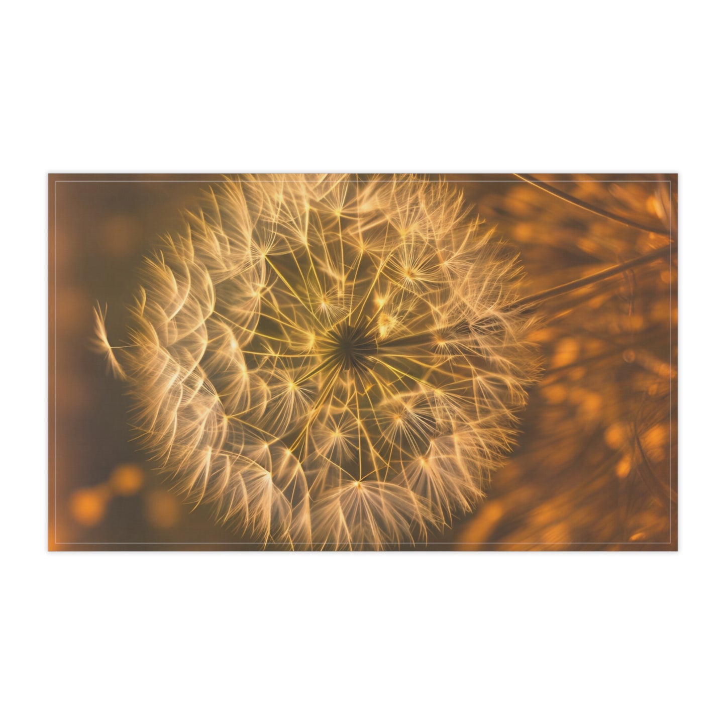 Make a wish Kitchen Towel (SP Photography Collection)