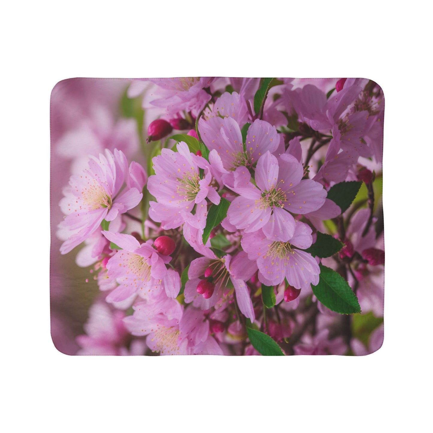 Cherry Blossom Fleece Sherpa Blanket (SP Photography Collection)