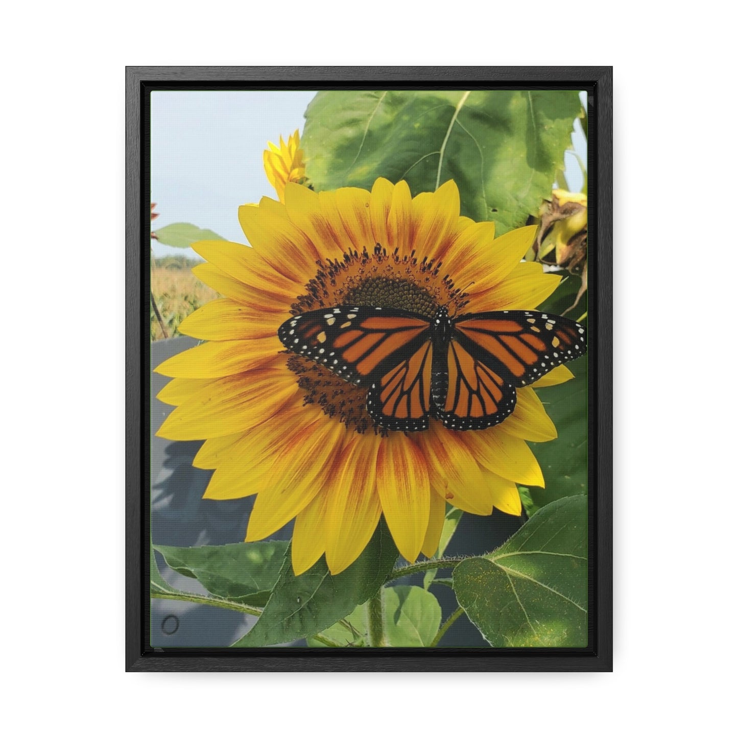 Happy Sunflower Canvas Wraps, Vertical Frame (Enchanted Exposures By Tammy Lyne)