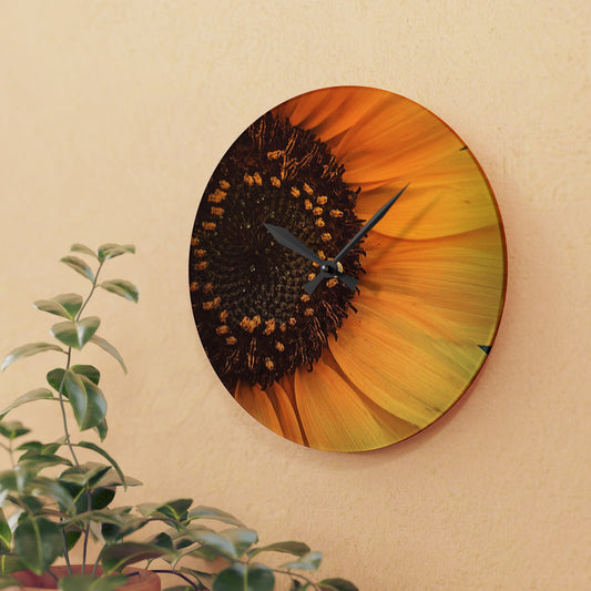 Sun Ray Sunflower Acrylic Wall Clock (SP Photography Collection)