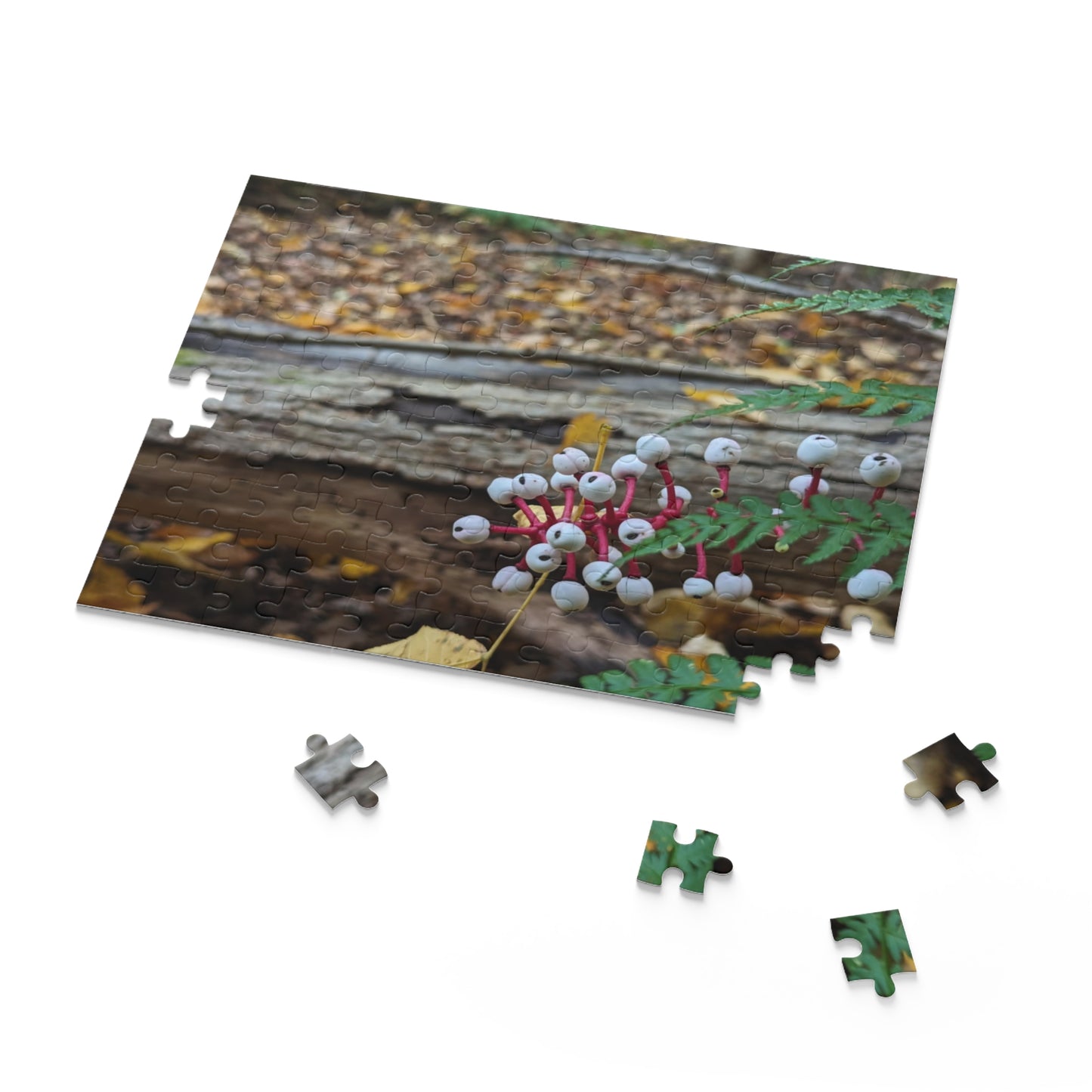 Baneberry Puzzle (Savor The Moment Collection 120, 252, 500-Piece)