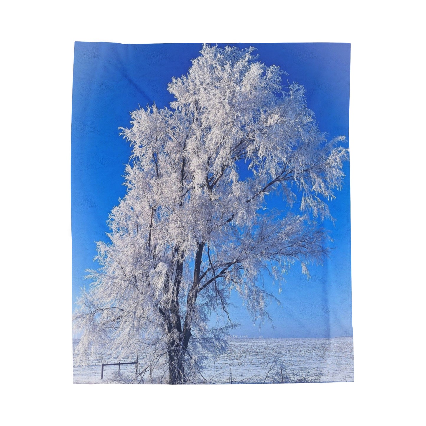 Snowy Tree Velveteen Plush (SP Photography Collection)