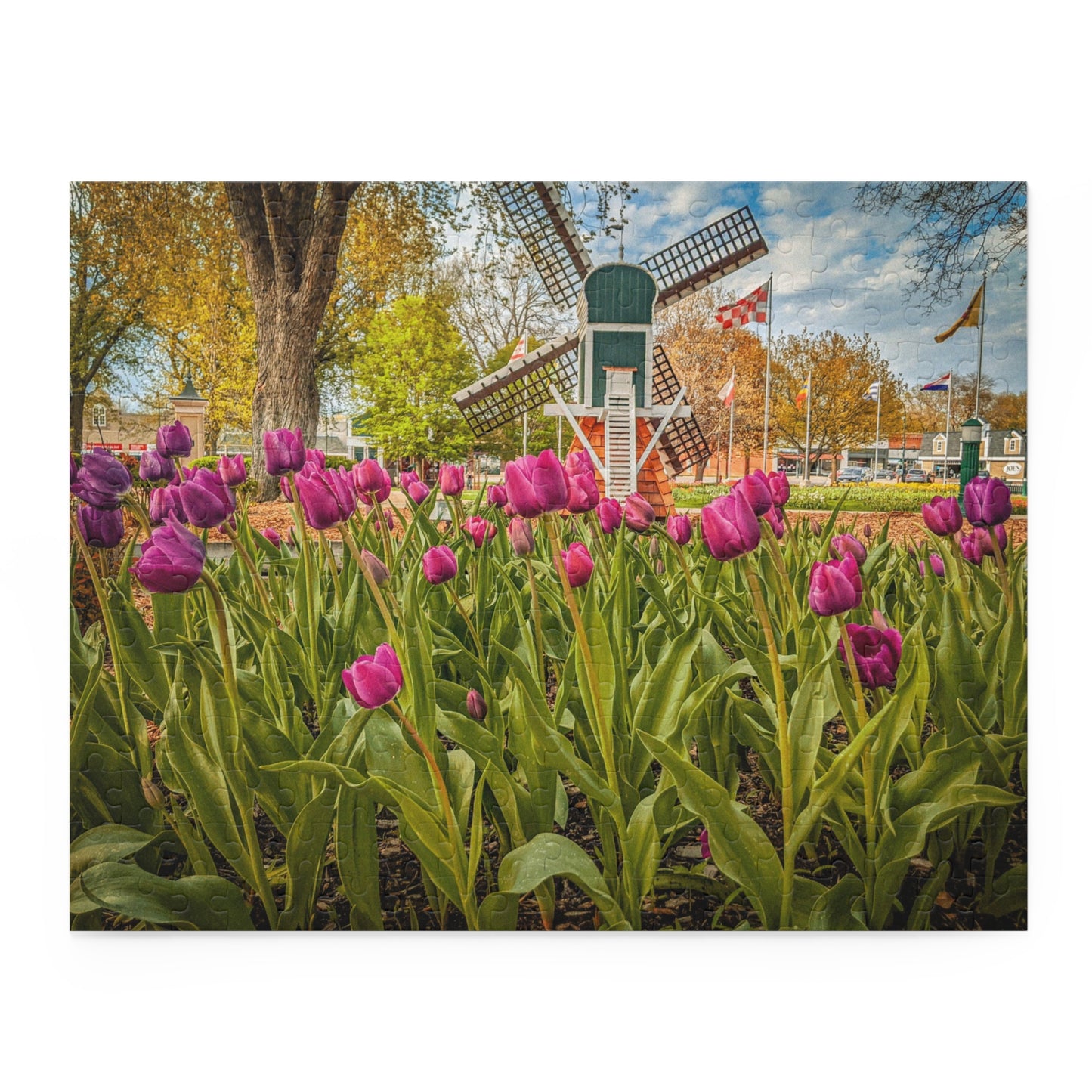 Windmill Tulip Puzzle (SP Photography Collection 120, 252, 500-Piece)