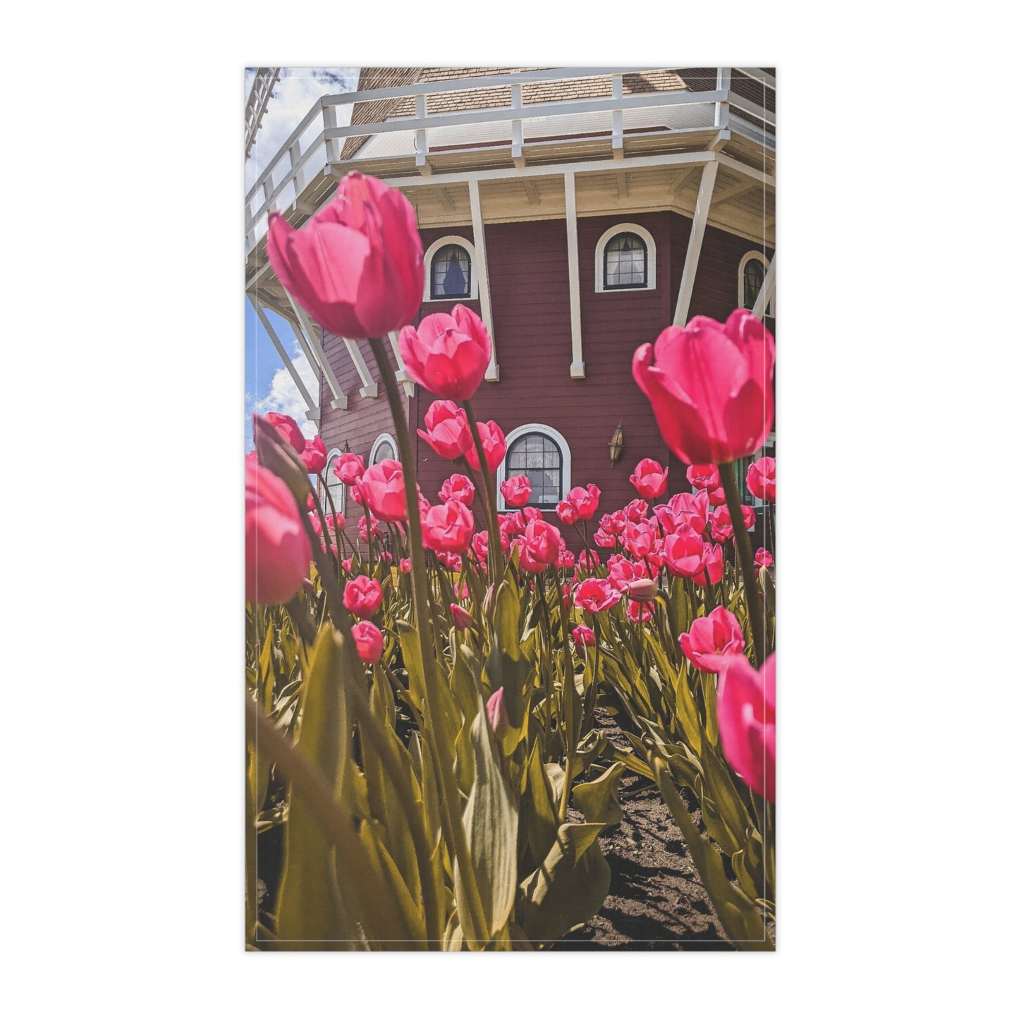 Windmill Pink Tulips Kitchen Towel (SP Photography Collection)