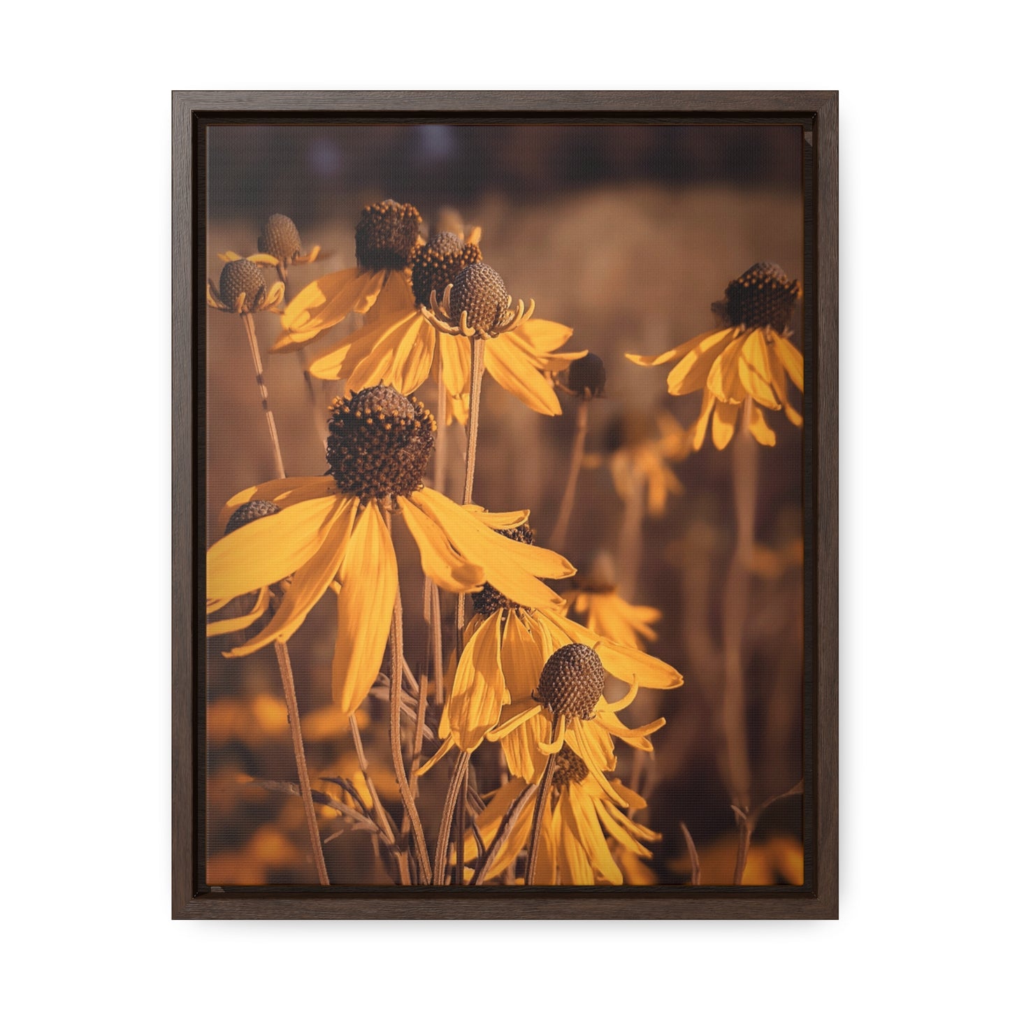 Conflower Canvas Wraps, Vertical Frame (SP Photography Collection)