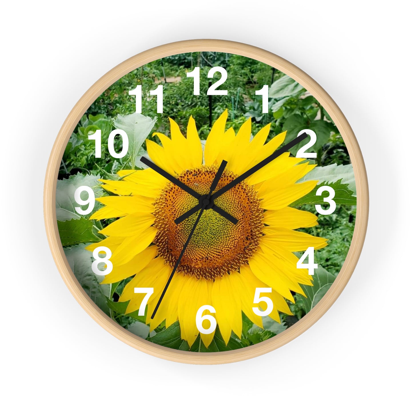 Yellow Sunflower Wall Clock (Enchanted Exposures By Tammy Lyne)