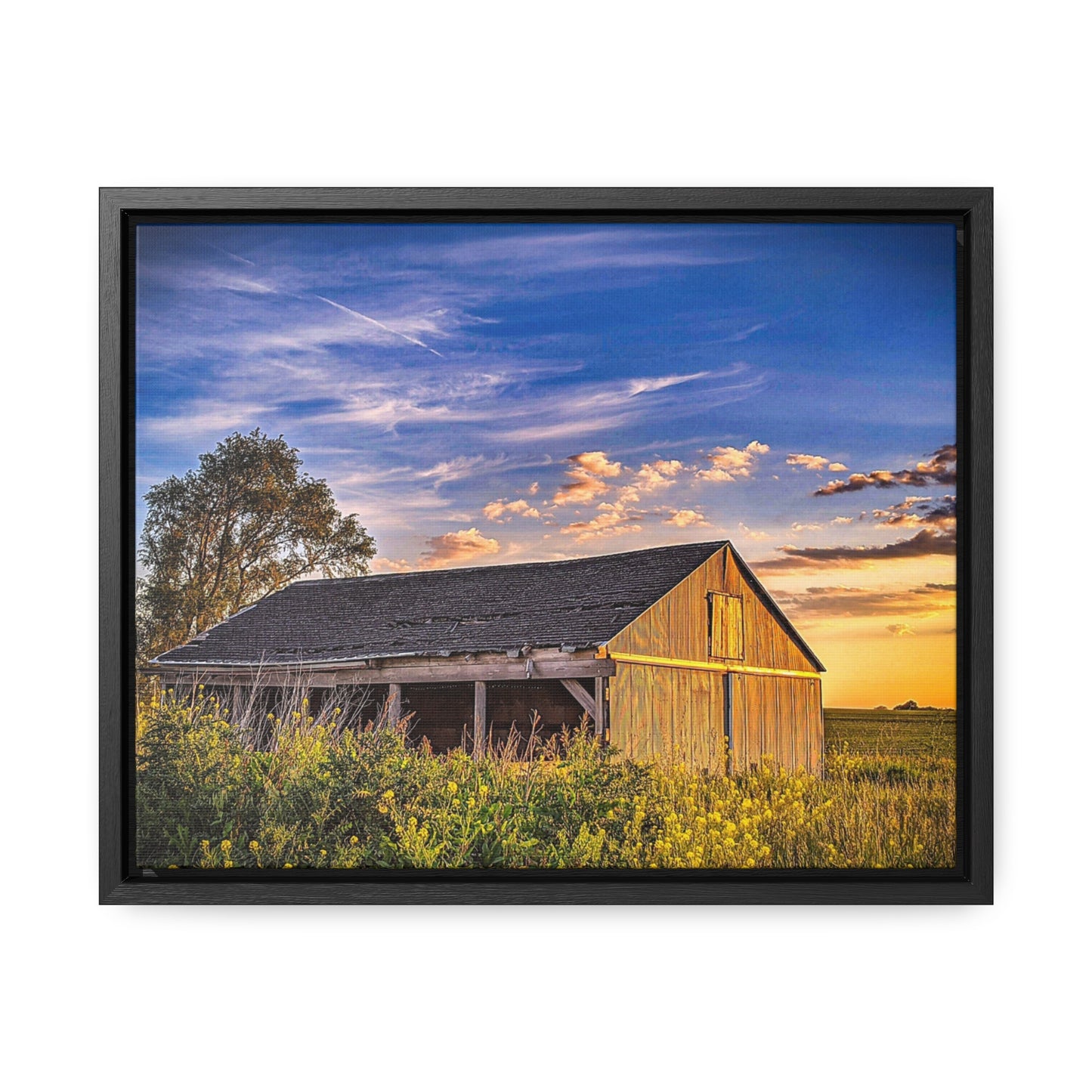 Beautiful Barn  Frame (SP Photography Collection)