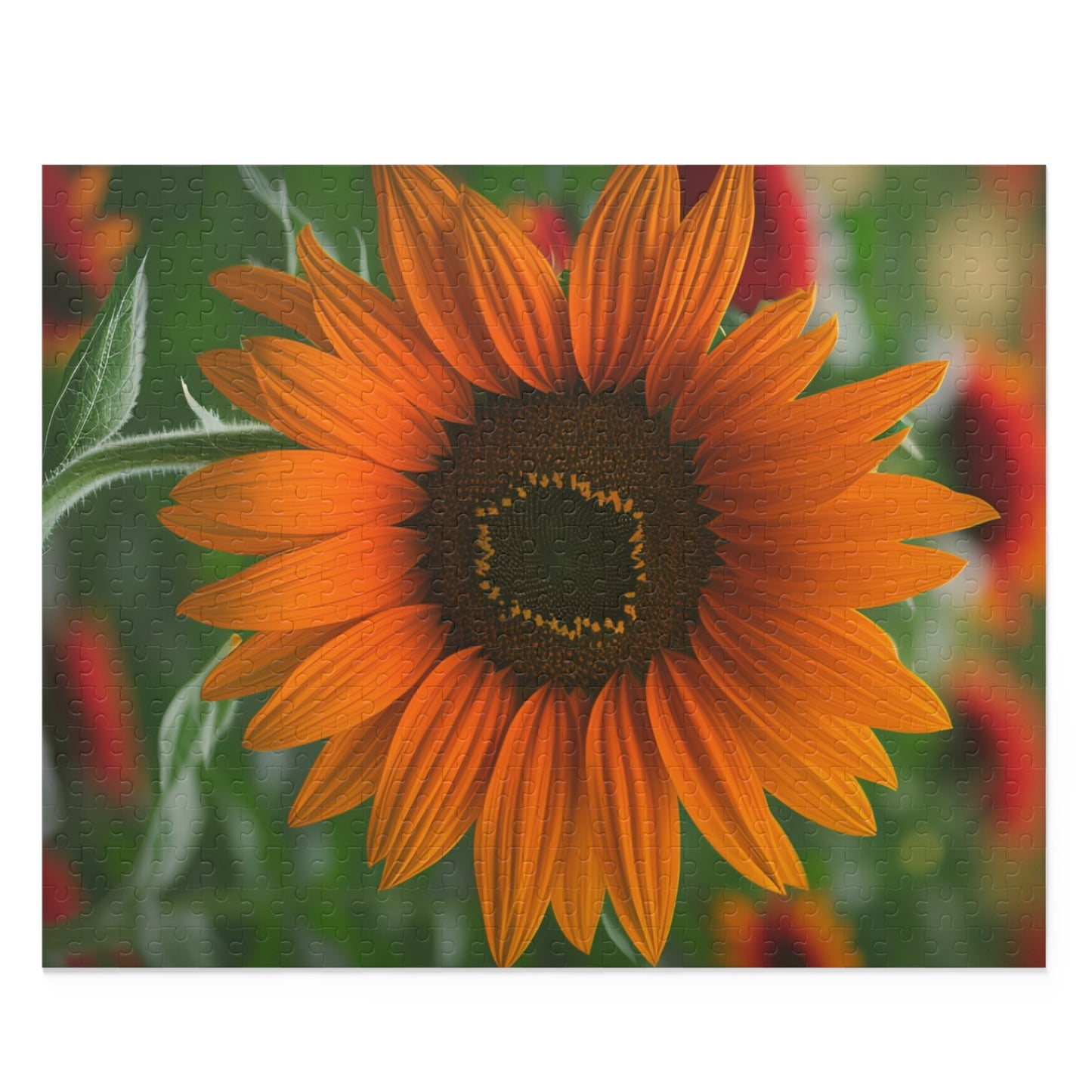 Orange Sunflower Puzzle (SP Photography Collection) (120, 252, 500-Piece)