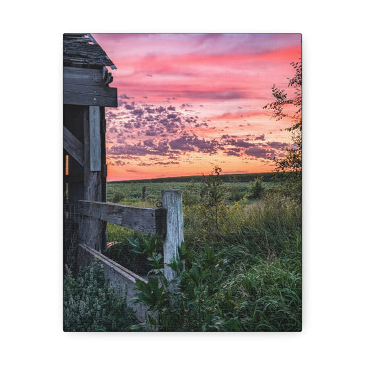 Pink Sky Stretched Canvas (SP Photography Collection)