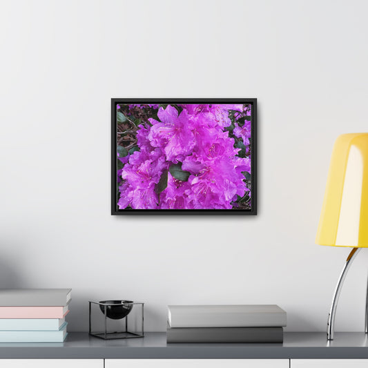 Pink Flower Canvas, Horizontal Frame (Custom Creations By Catelyn)