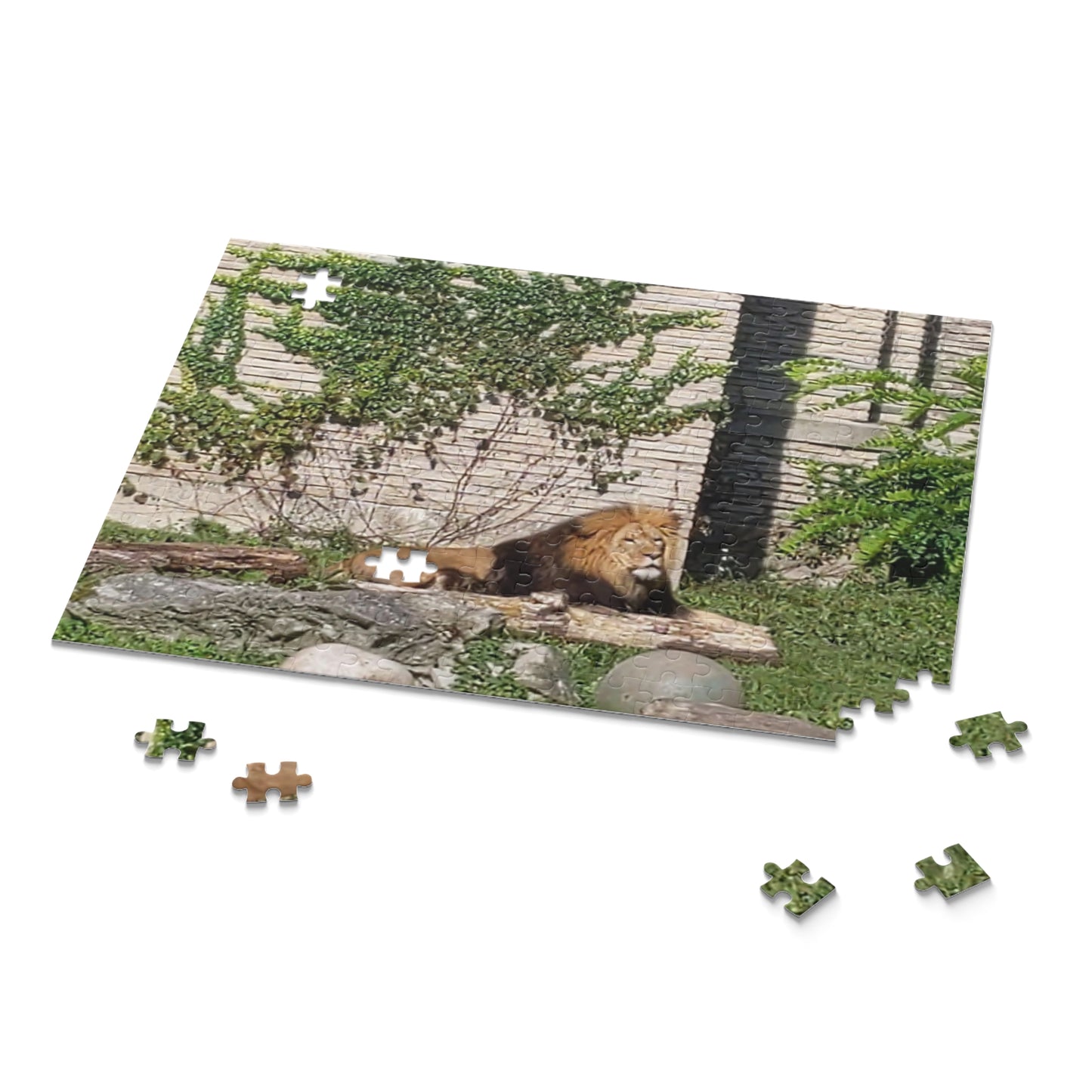 Lion Puzzle (B & J Collections) (120, 252, 500-Piece)