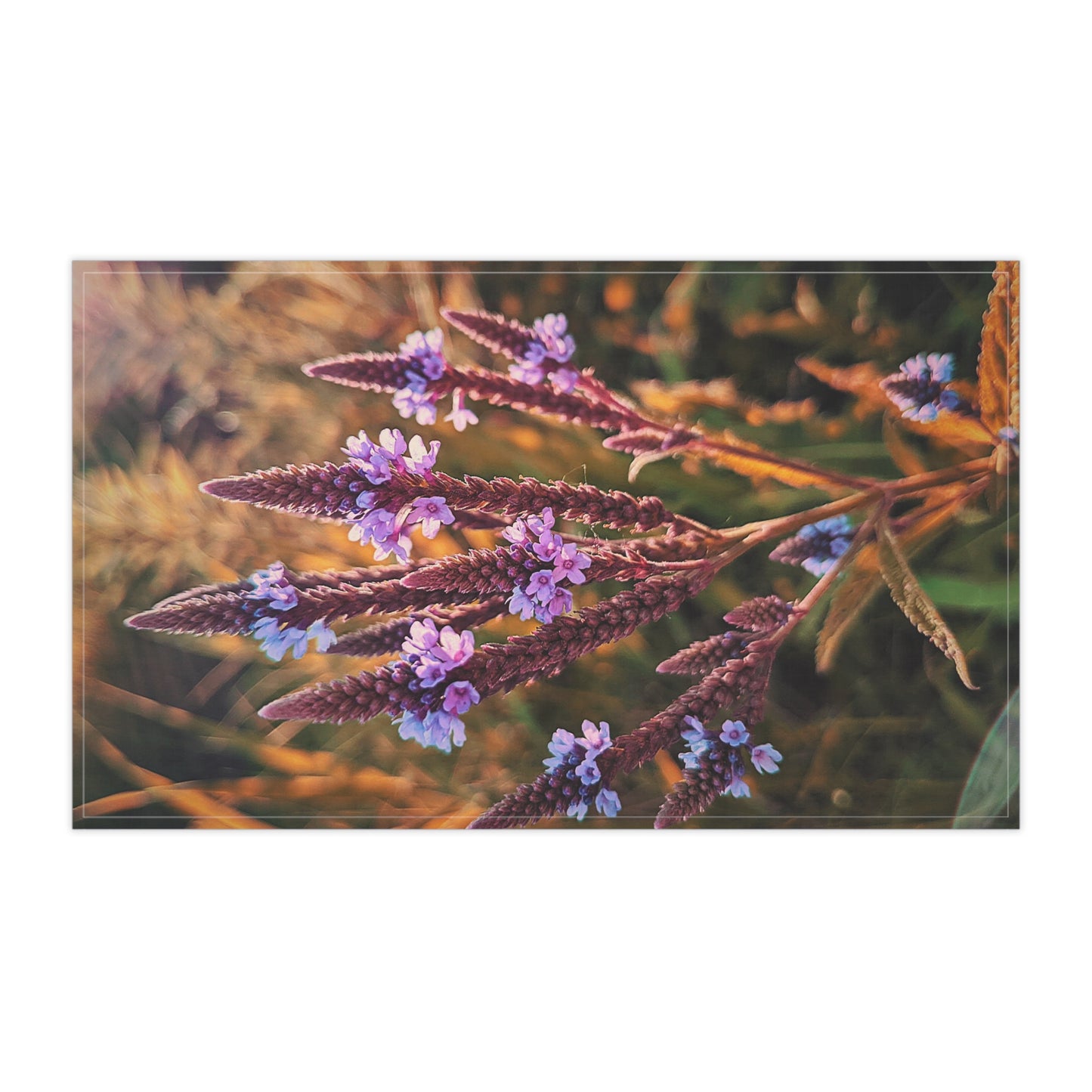 Purple Field Kitchen Towel (SP Photography Collection)