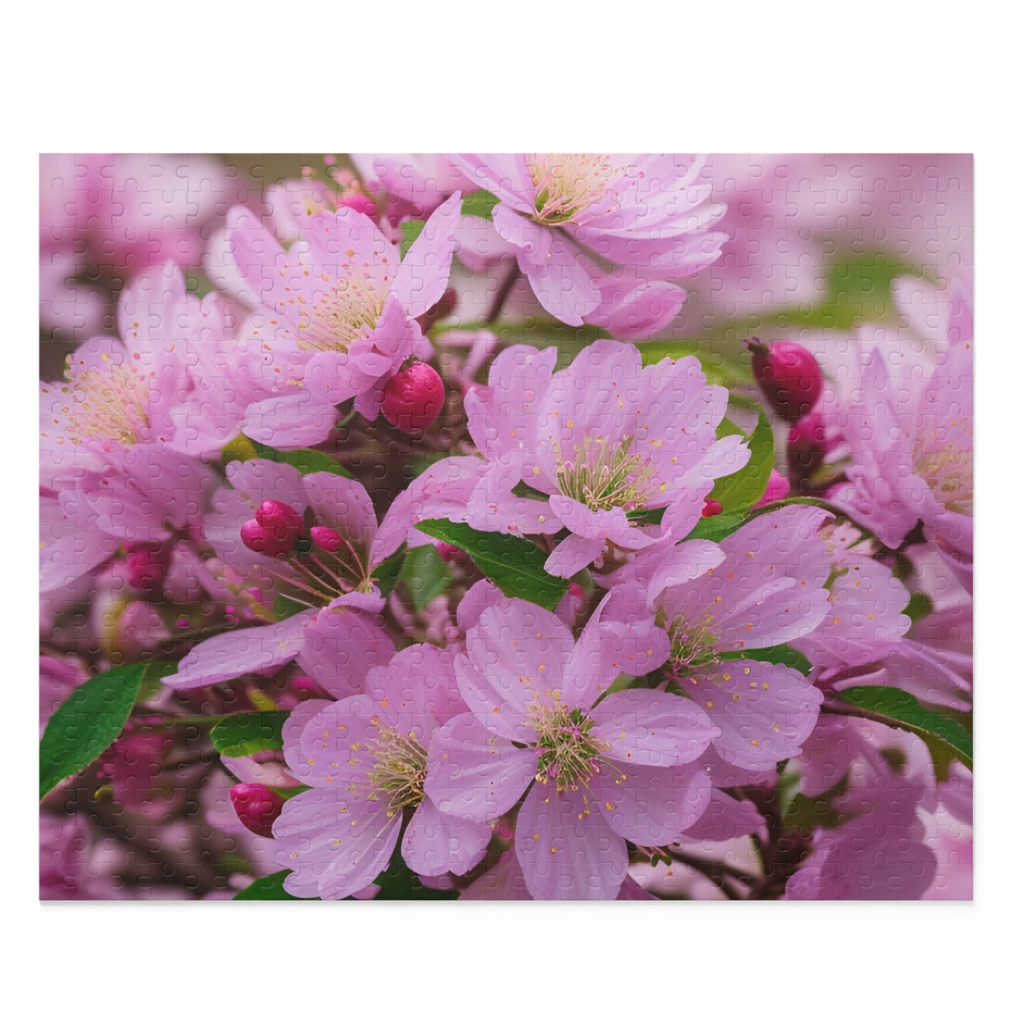 Cherry BLossom Puzzle (SP Photography Collection 120, 252, 500-Piece)