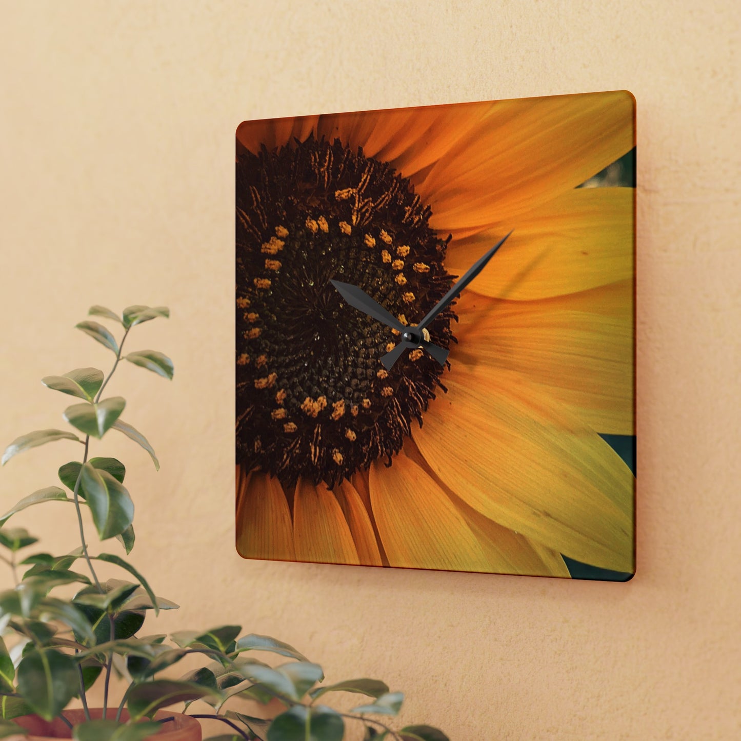 Sun Ray Sunflower Acrylic Wall Clock (SP Photography Collection)