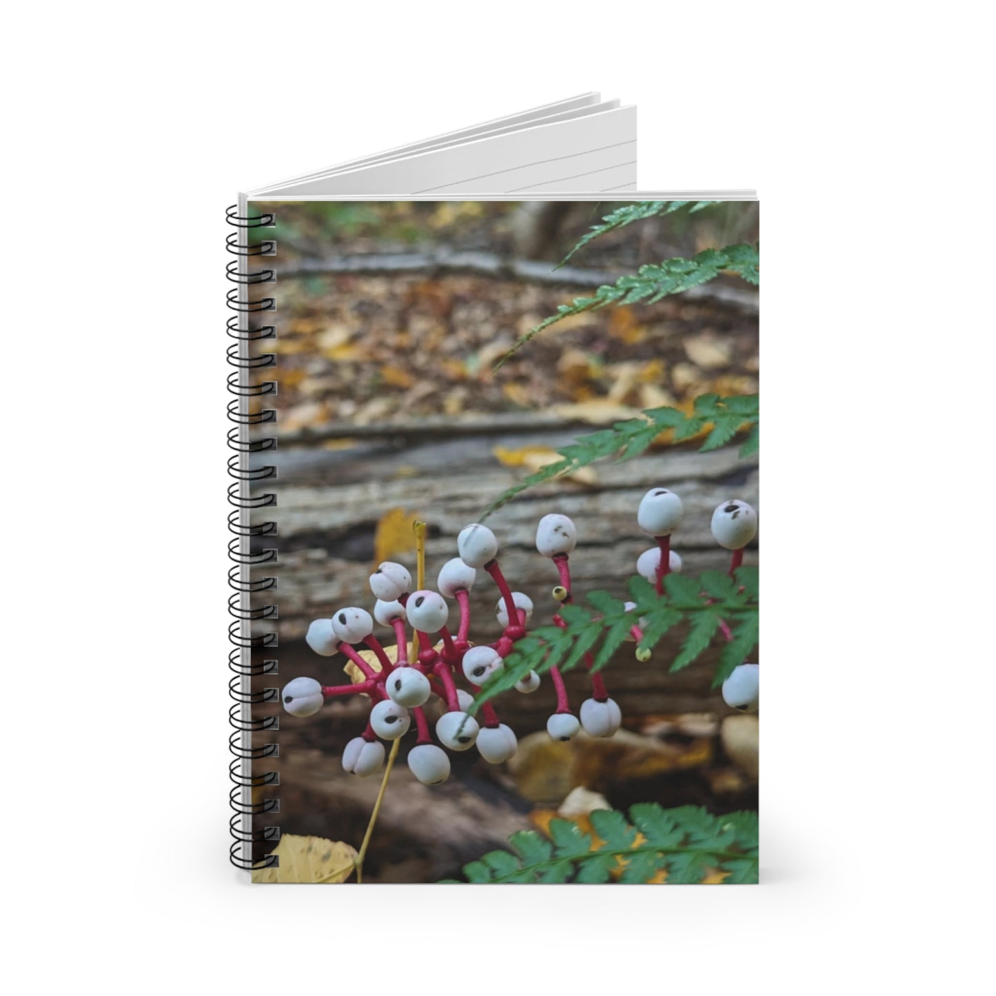 Baneberry Notebook (Savor The Moment Collection)