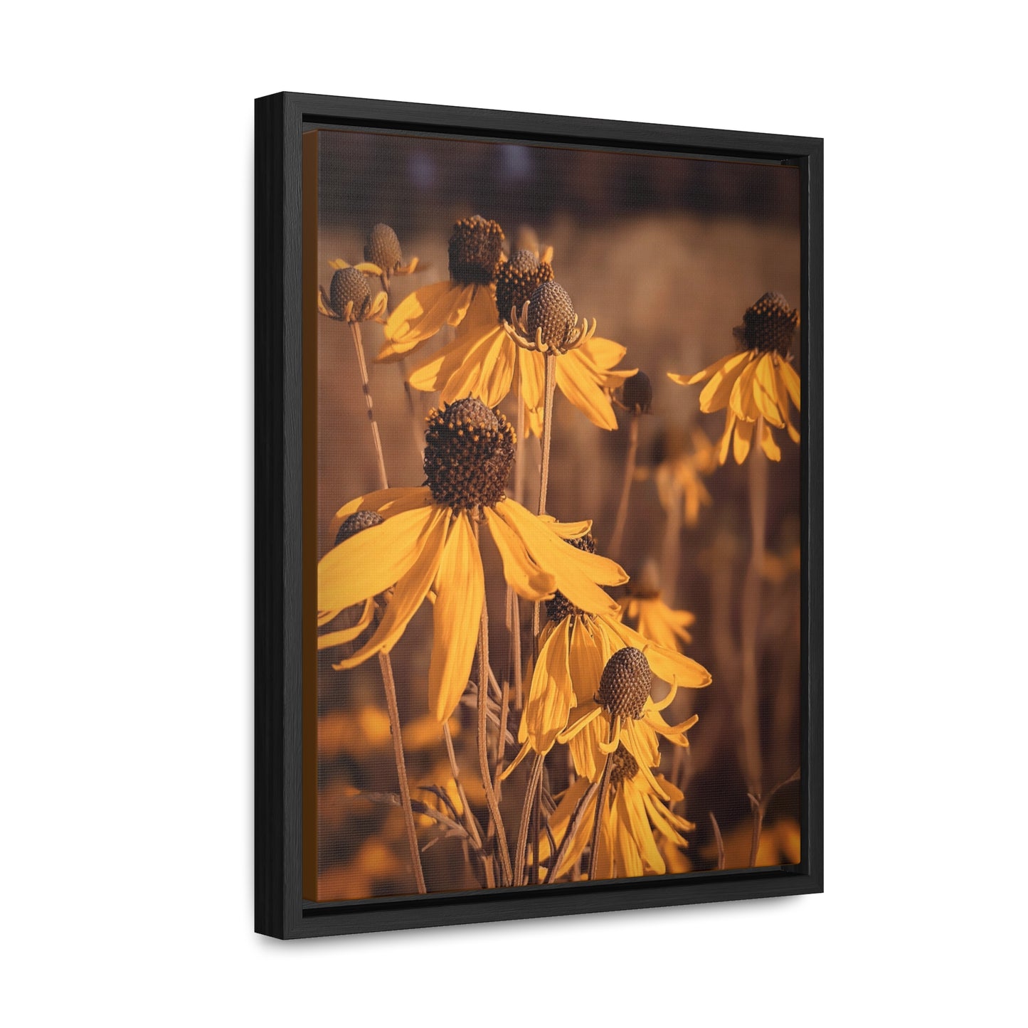 Conflower Canvas Wraps, Vertical Frame (SP Photography Collection)