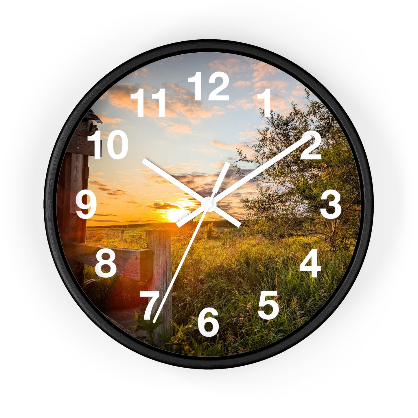 Fence Clock (SP Photography Collection)