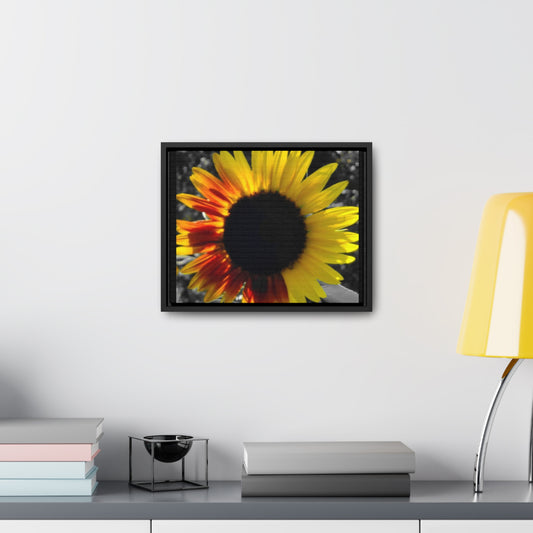 Mixed Sunflower Black Horizontal Frame (Enchanted Exposures by Tammy Lyne)