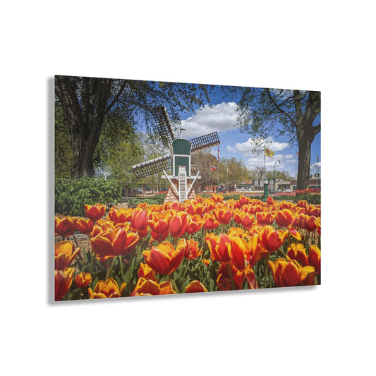 Windmill Garden Acrylic Prints (SP Photography Collection)