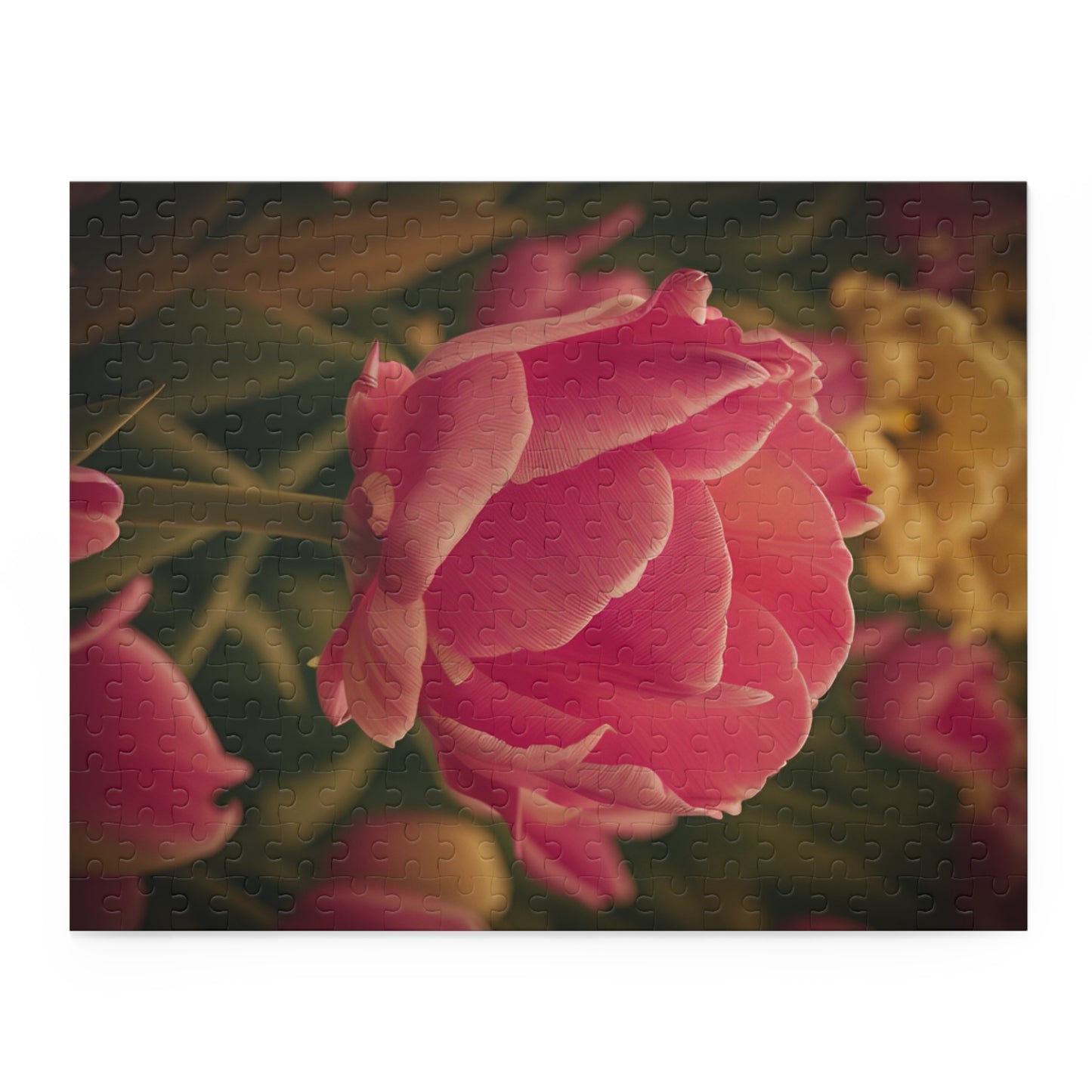 Pink Buttercup Puzzle (SP Photography Collection) (120, 252, 500-Piece)