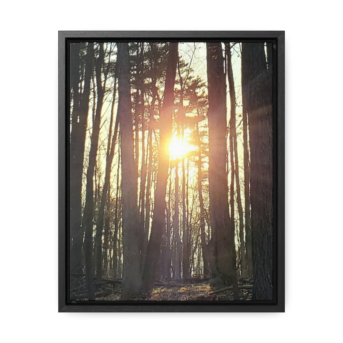 Into the trees Canvas Wraps, Vertical Frame (Enchanted Exposures By Tammy Lyne) BLACK