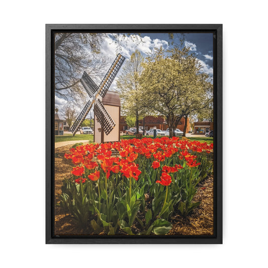 Red Windmill Tulip Canvas Wraps, Vertical Frame (SP Photography Collection)