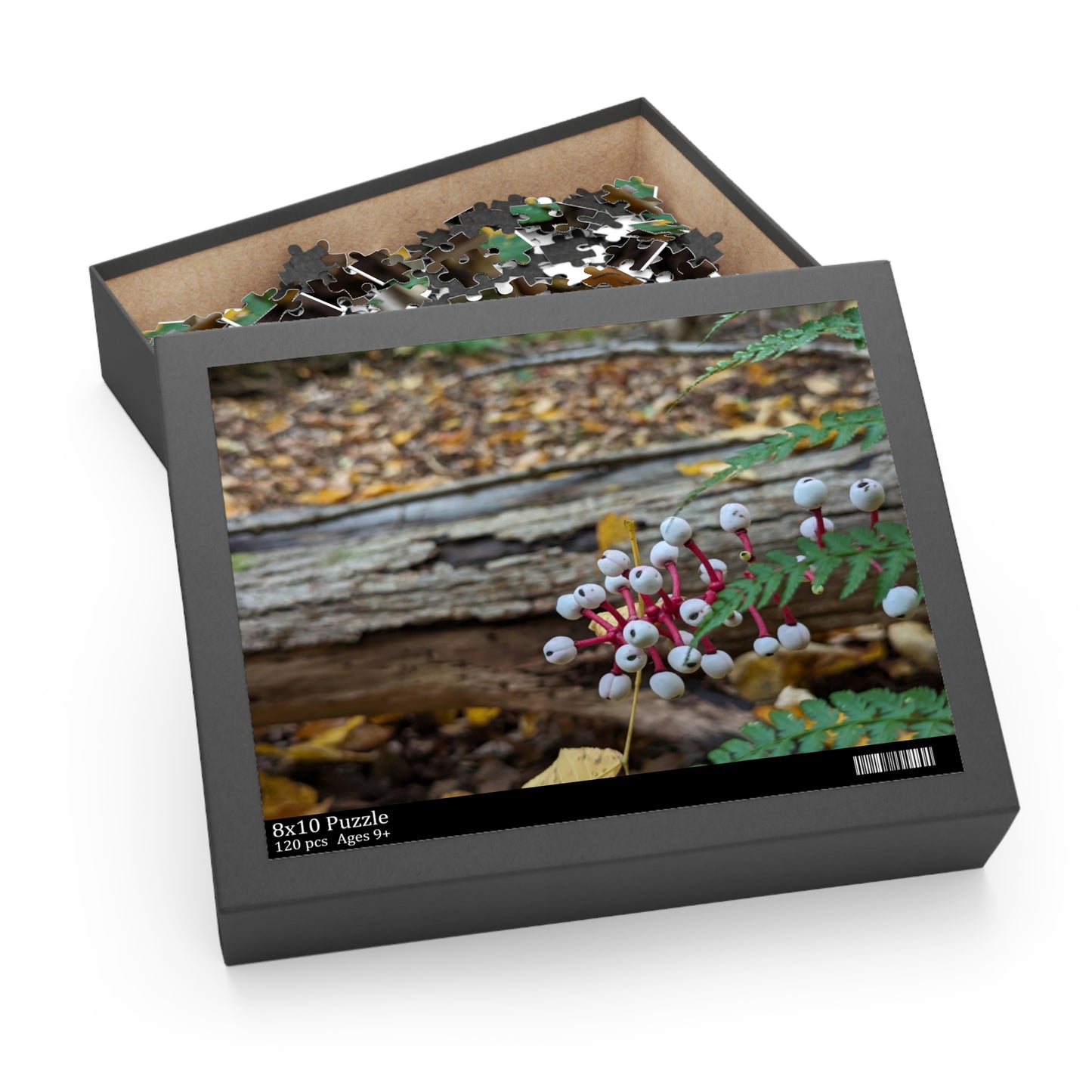 Baneberry Puzzle (Savor The Moment Collection 120, 252, 500-Piece)