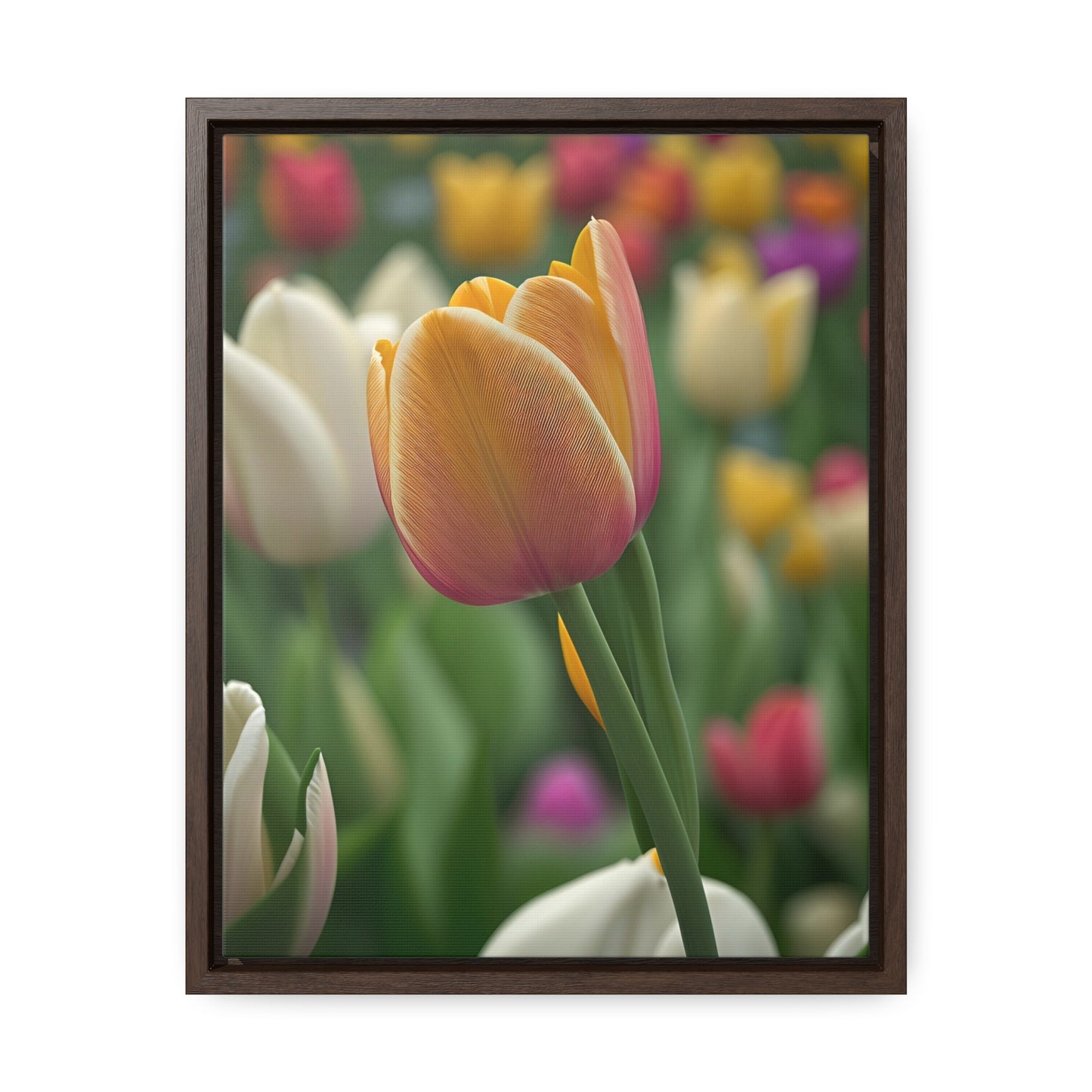 Orange Tulip Canvas Wraps, Vertical Frame (SP Photography Collection)