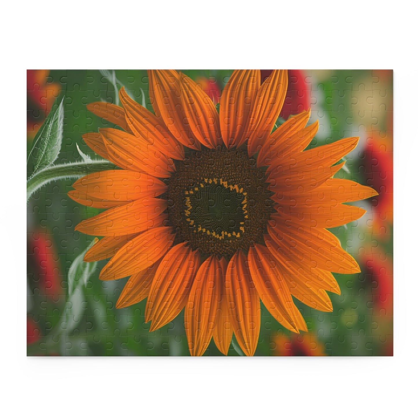 Orange Sunflower Puzzle (SP Photography Collection) (120, 252, 500-Piece)