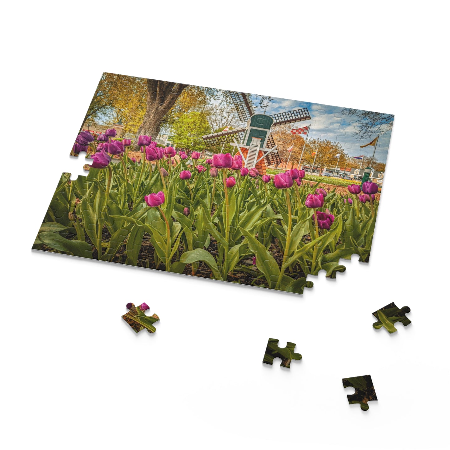 Windmill Tulip Puzzle (SP Photography Collection 120, 252, 500-Piece)