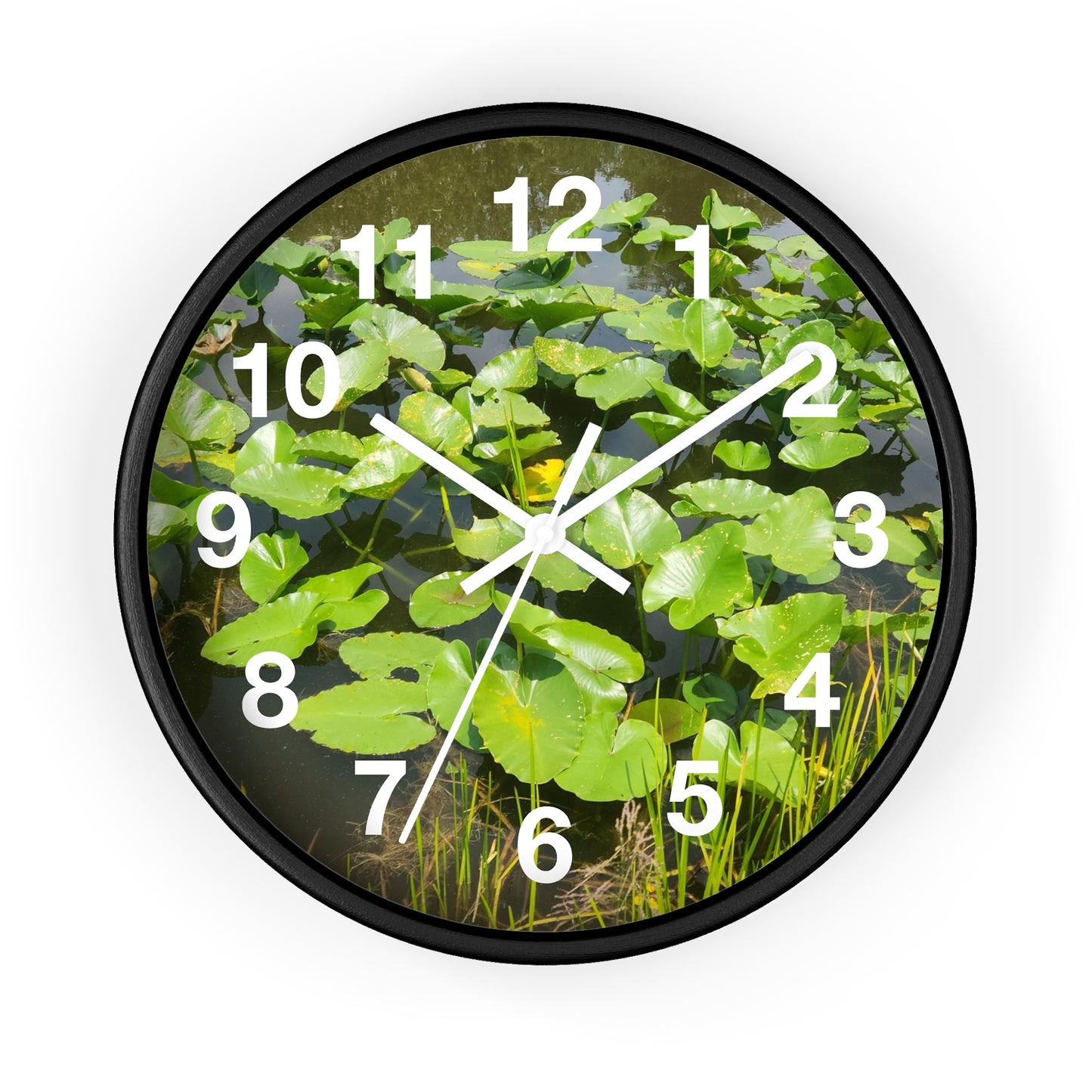 Lily Pad Wall Clock (B & J Collections)