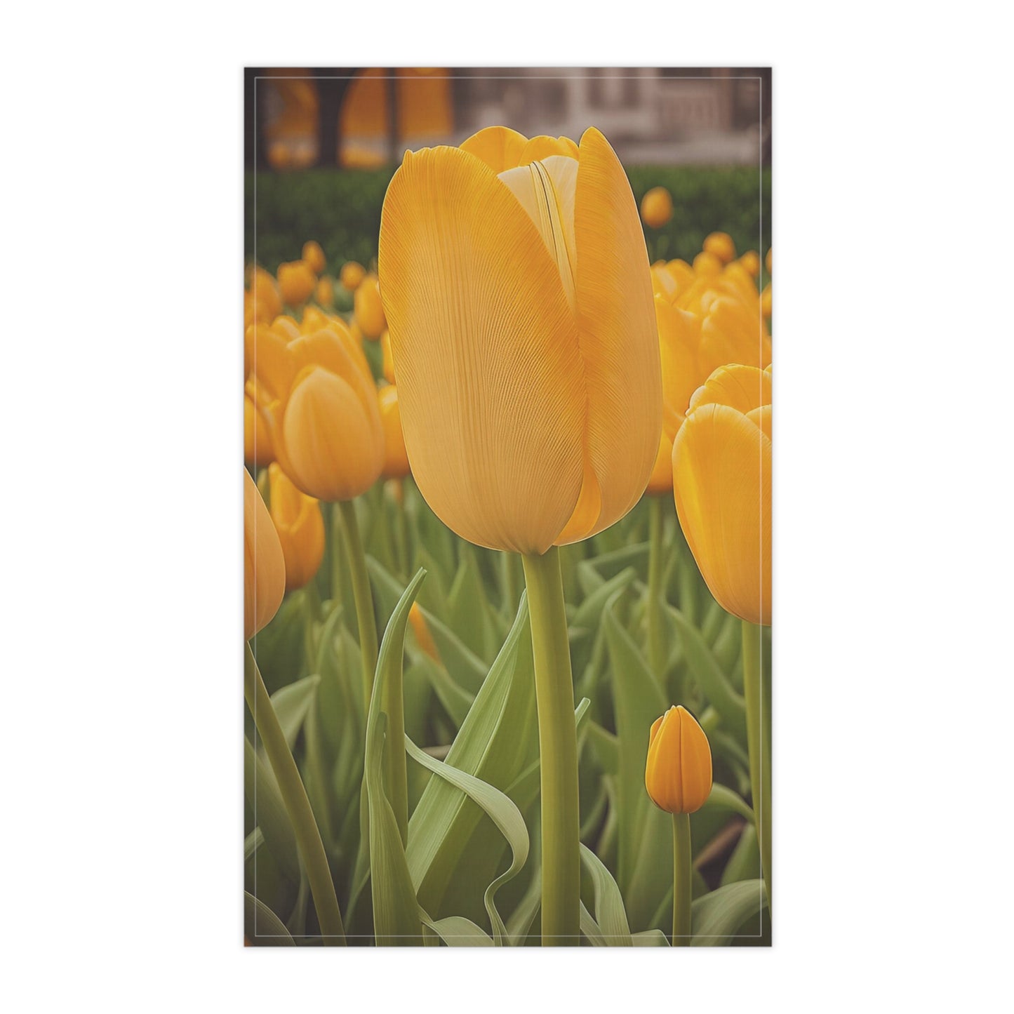 Yellow Tulip Kitchen Towel (SP Photography Collection)