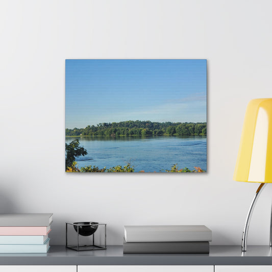 River Trees Gallery Wrap Canvas (B & J Collections)