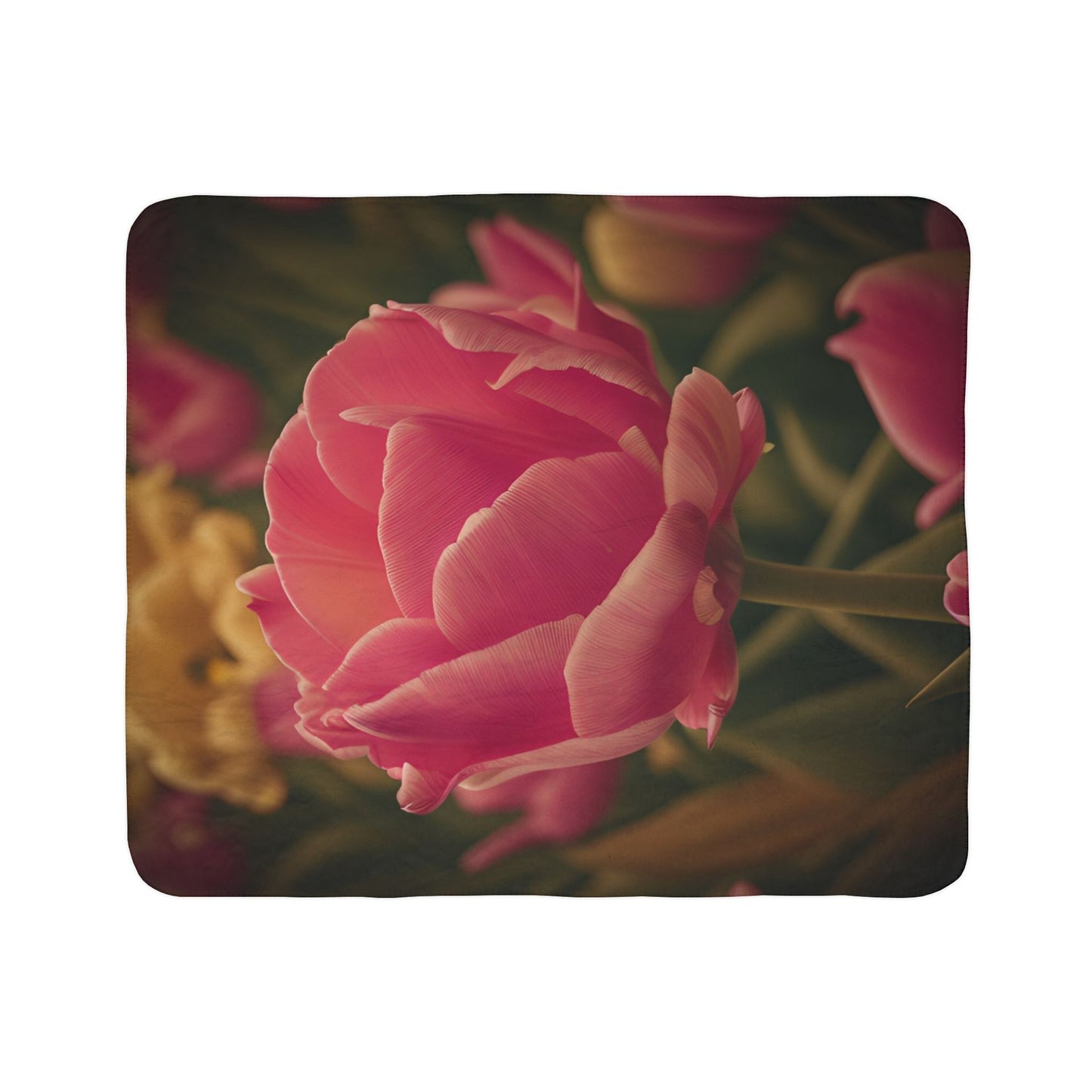 Pink Buttercup Fleece Sherpa Blanket (SP Photography Collection)