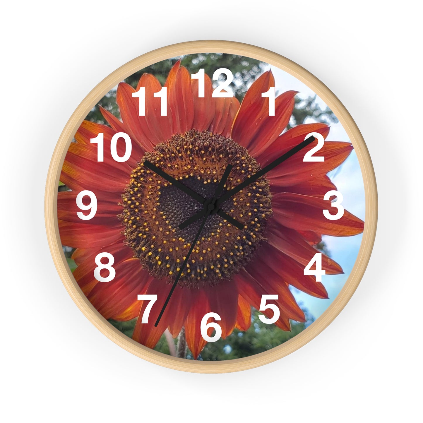 Heart Sunflower Wall Clock (Enchanted Exposures By Tammy Lyne)