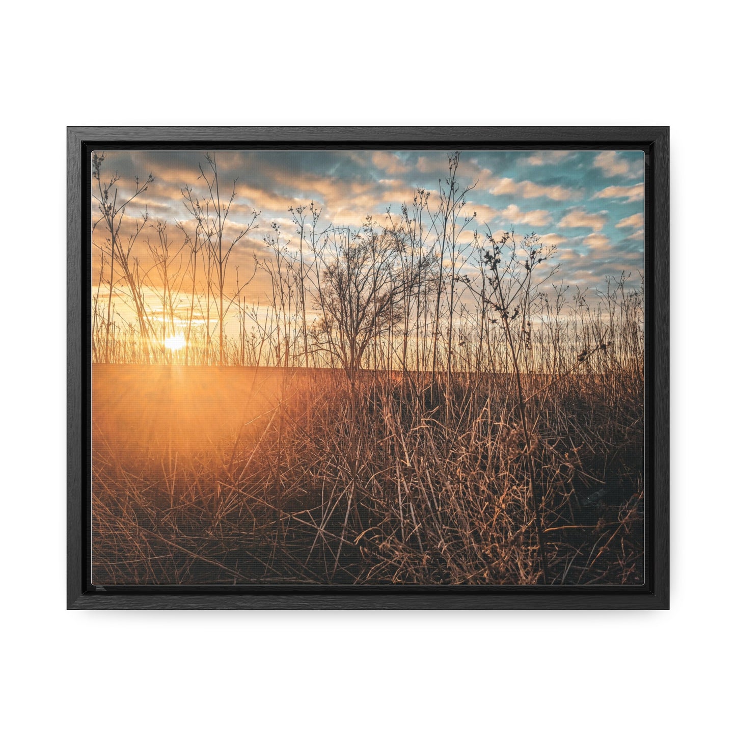 Cloudy Sunset Fields Canvas, Horizontal Frame (SP Photography Collection)