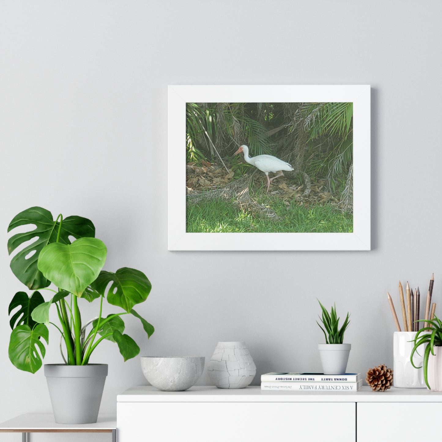 White Ibises Framed Horizontal Poster (B & J Collections)