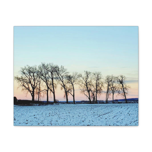 Snowy Tree Line Wrap Canvas (Enchanted Exposures By Tammy Lyne)