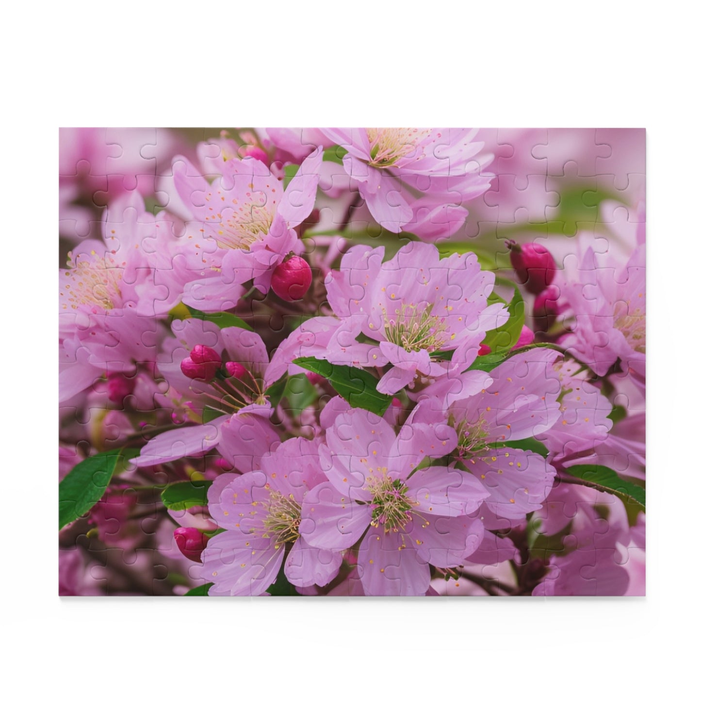 Cherry BLossom Puzzle (SP Photography Collection 120, 252, 500-Piece)