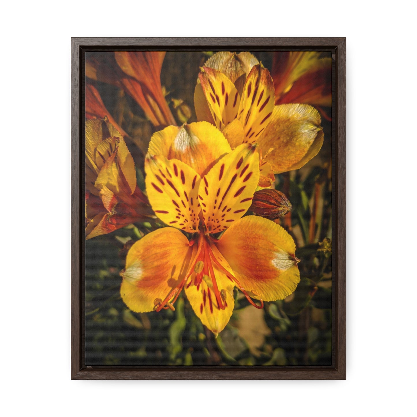 Yellow Lily Canvas Wraps, Vertical Frame (SP Photography Collection)