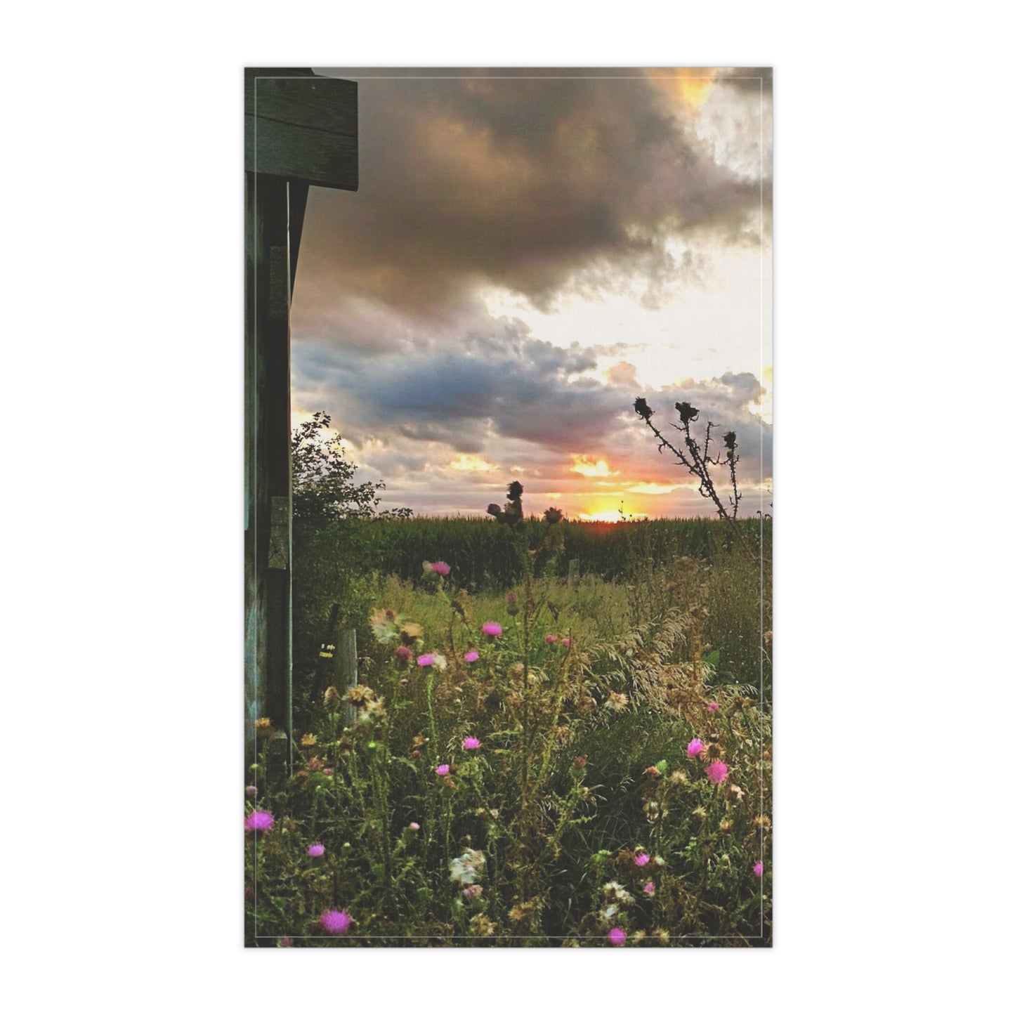 Cloudy Field Kitchen Towel (SP Photography Collection)