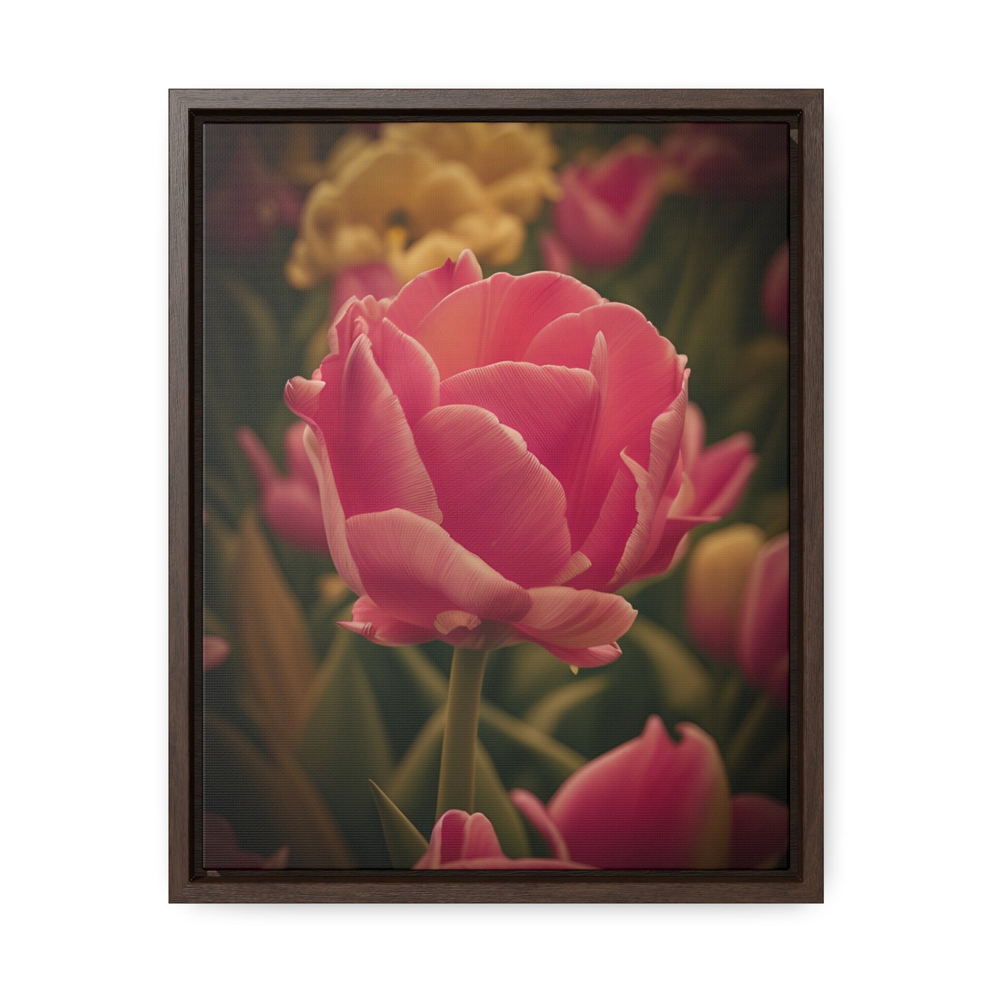 Pink Buttercup Canvas Wraps, Vertical Frame (SP Photography Collection) BLACK