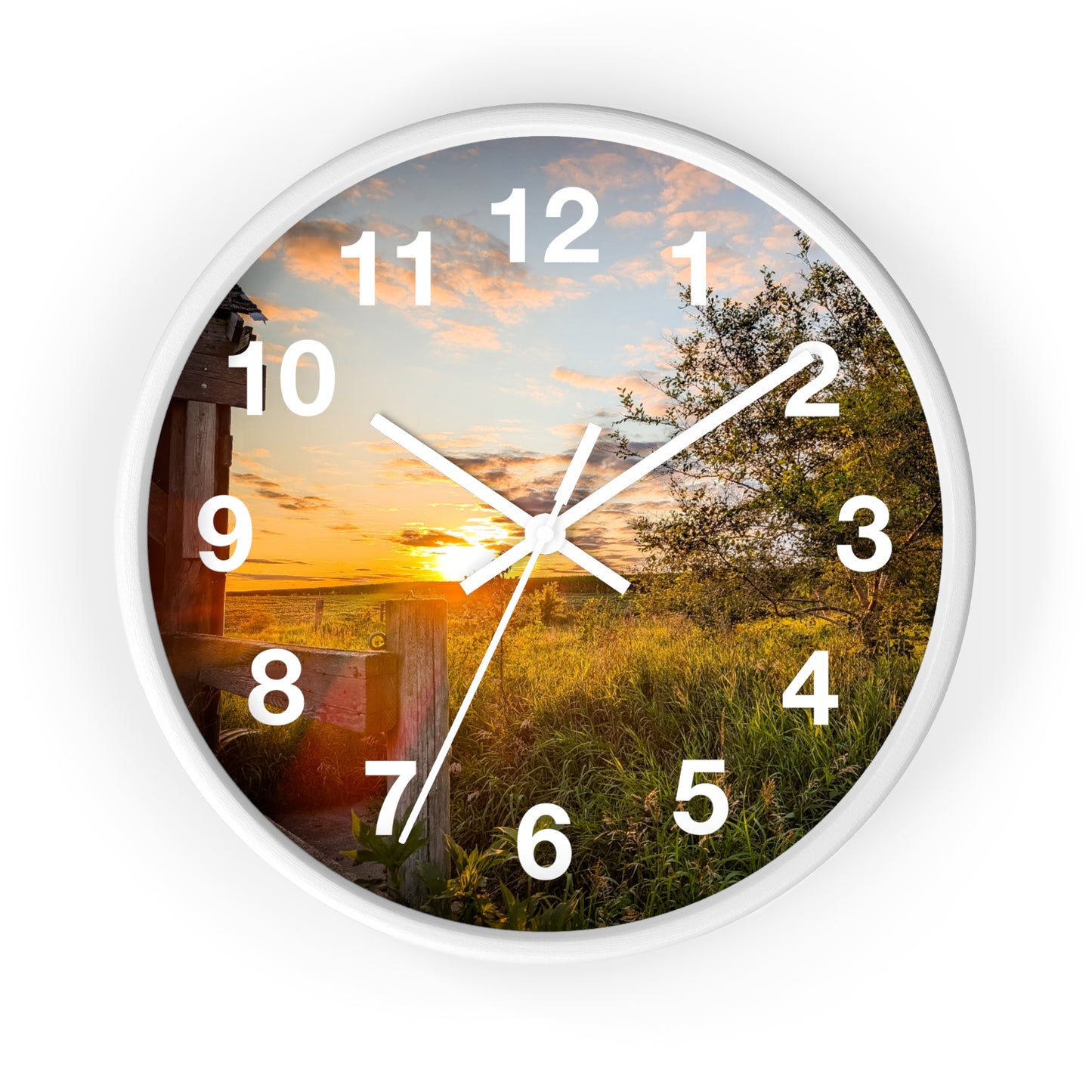 Fence Clock (SP Photography Collection)