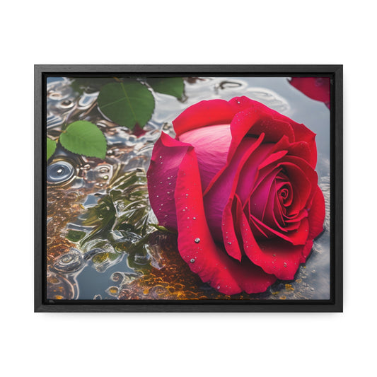 Red Rose Horizontal Frame (SP Photography Collection)