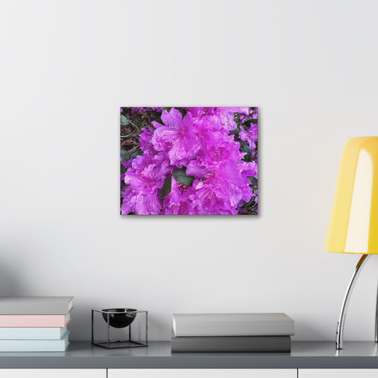 Pink Flower Canvas Gallery Wrap (Custom Creations By Catelyn) LIGHT PINK