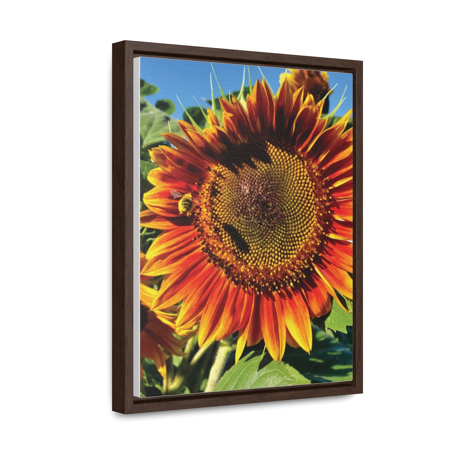 Bumble Bee Sunflower Canvas Wraps, Vertical Frame (Enchanted Exposures By Tammy Lyne Collection)