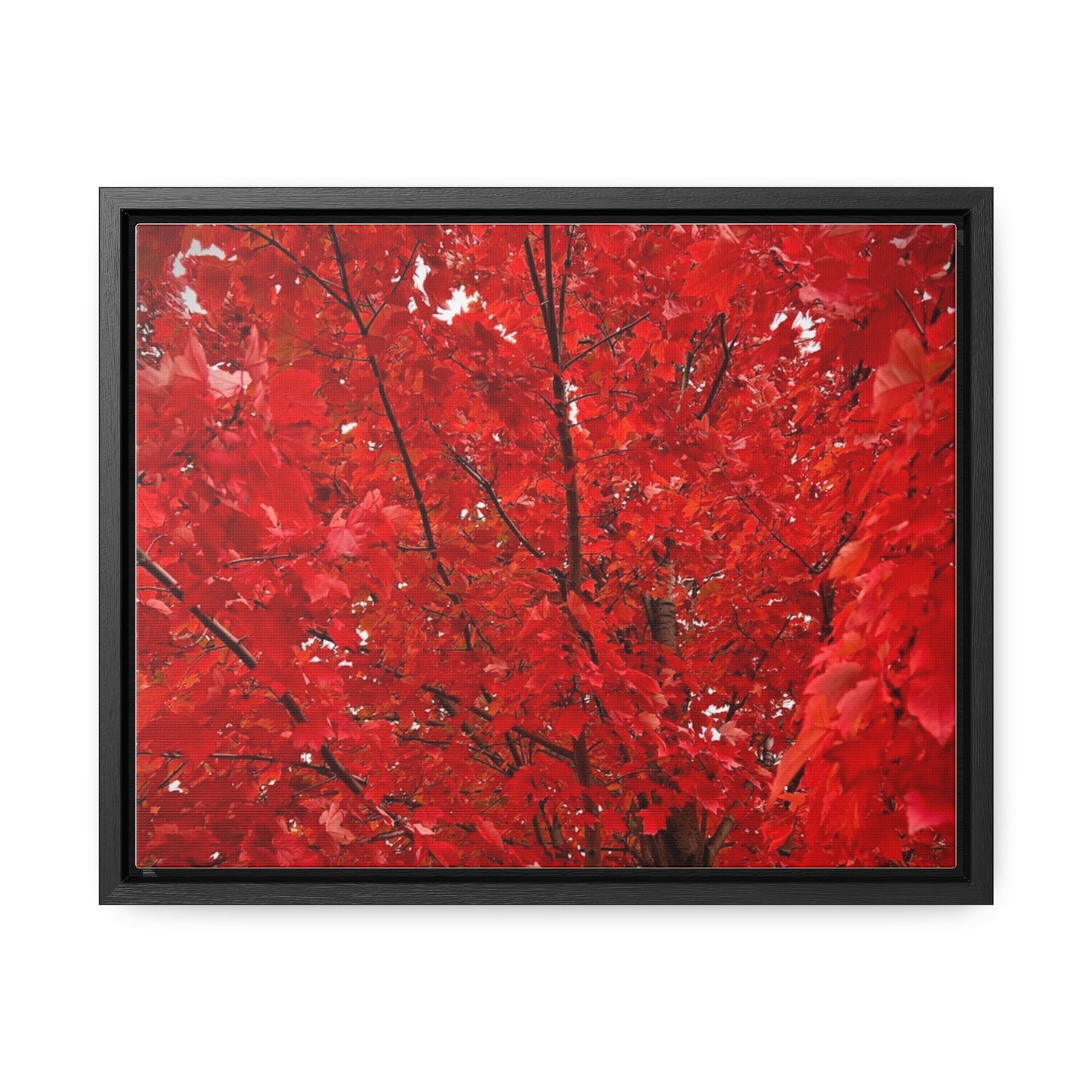 Fire Tree Canvas, Horizontal Frame (Custom Creations By Catelyn)